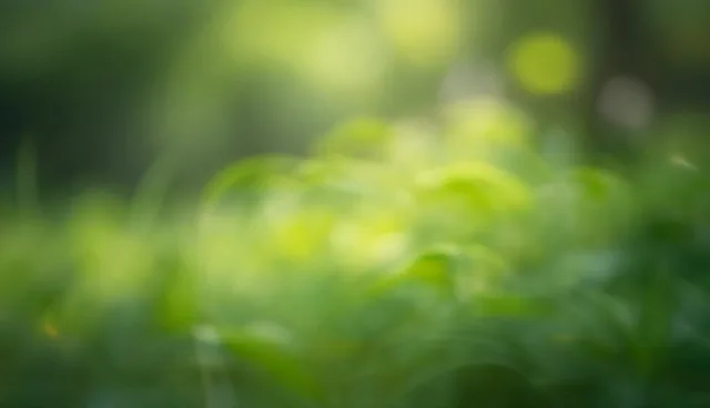 代码质量对技术推广服务的影响与优化建议